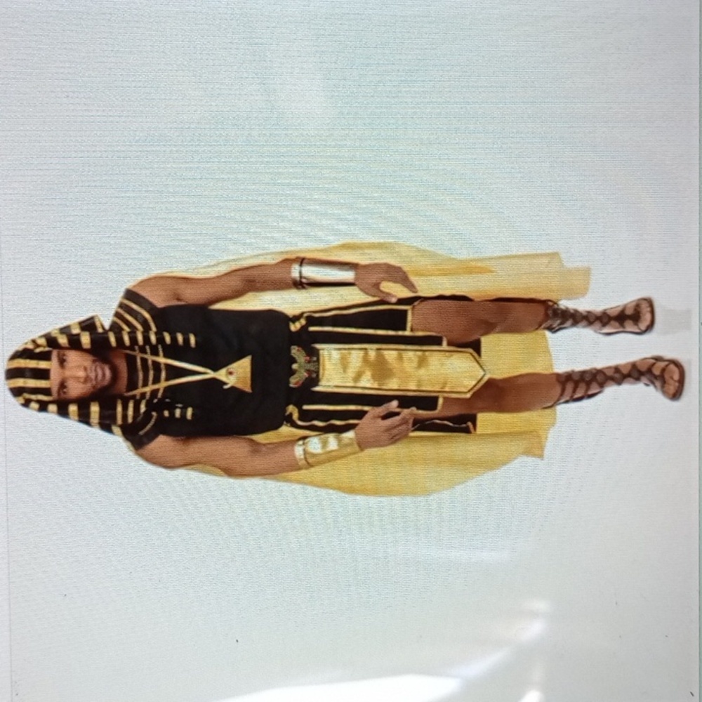 HCCode1 -  Men's Egyptian Costume